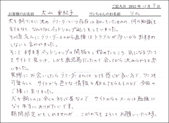 子犬お客様の声