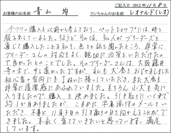 子犬お客様の声