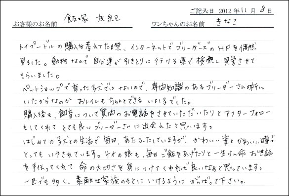 子犬お客様の声