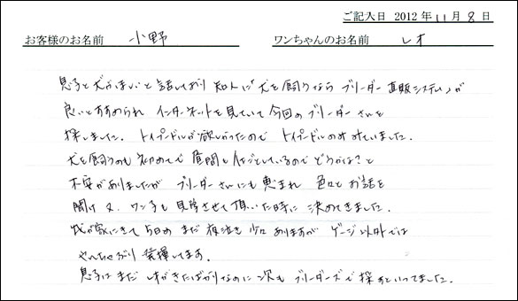 子犬お客様の声