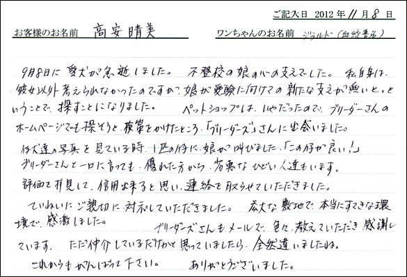 子犬お客様の声