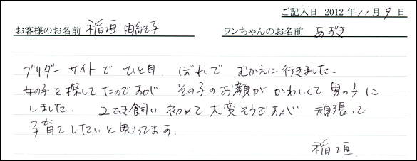 子犬お客様の声