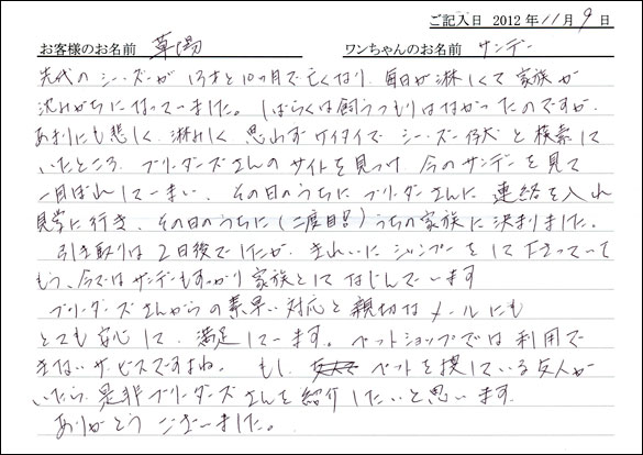 子犬お客様の声