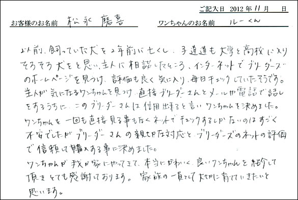 子犬お客様の声