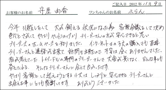 子犬お客様の声