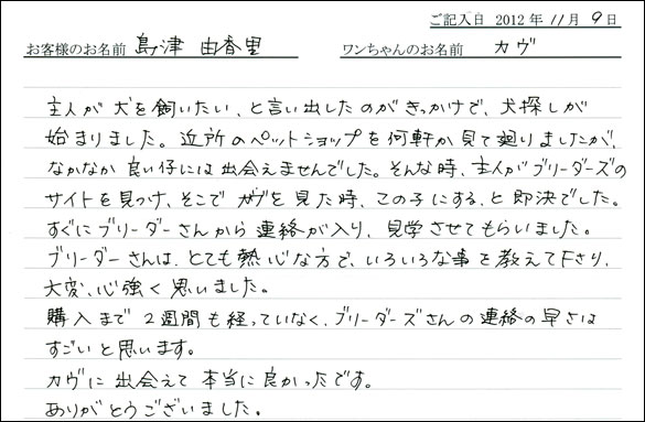 子犬お客様の声