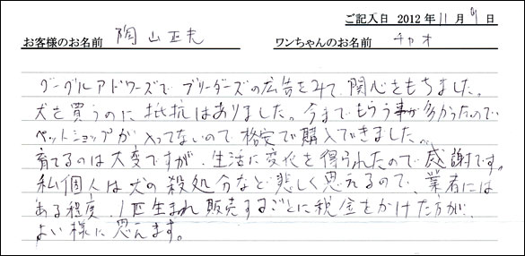 子犬お客様の声