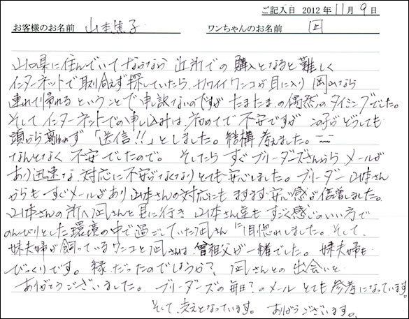 子犬お客様の声