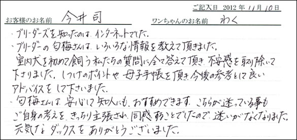 子犬お客様の声