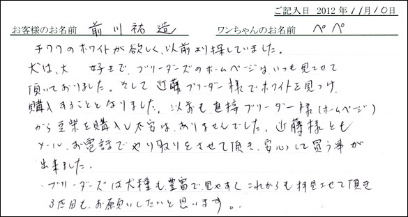 子犬お客様の声