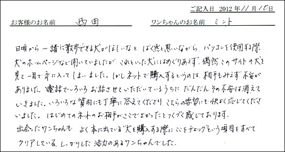 子犬お客様の声