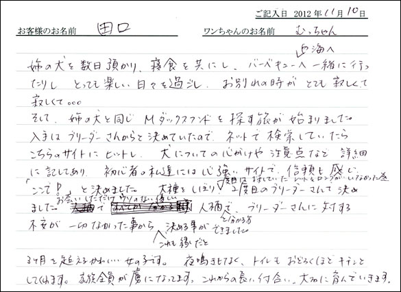 子犬お客様の声