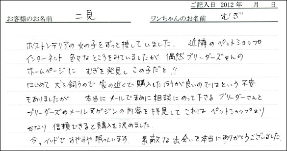 子犬お客様の声