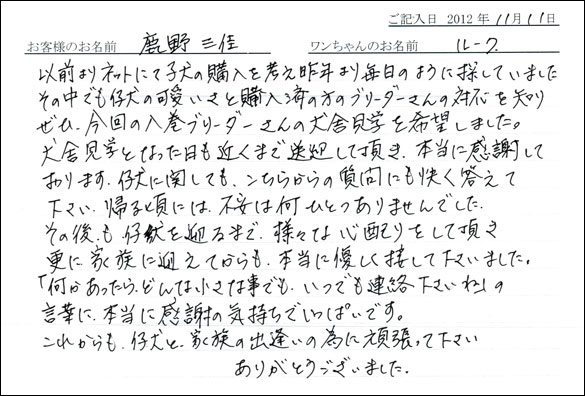 子犬お客様の声