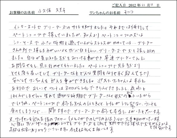 子犬お客様の声