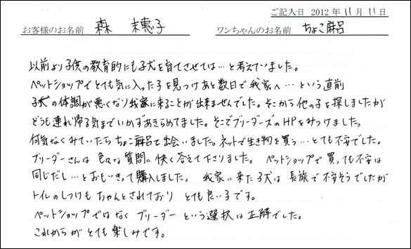 子犬お客様の声