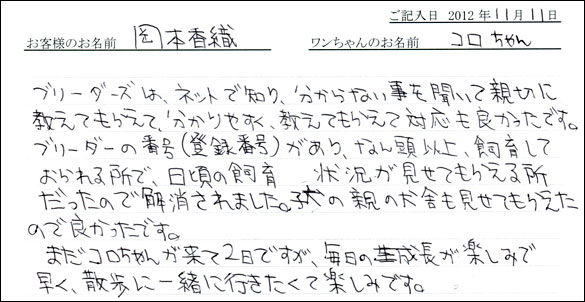 子犬お客様の声