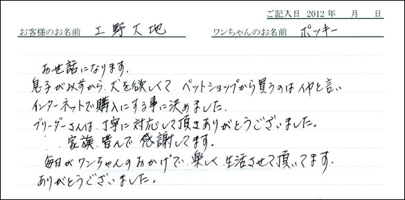 子犬お客様の声