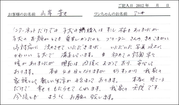 子犬お客様の声
