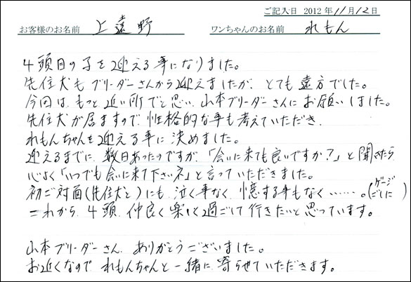 子犬お客様の声