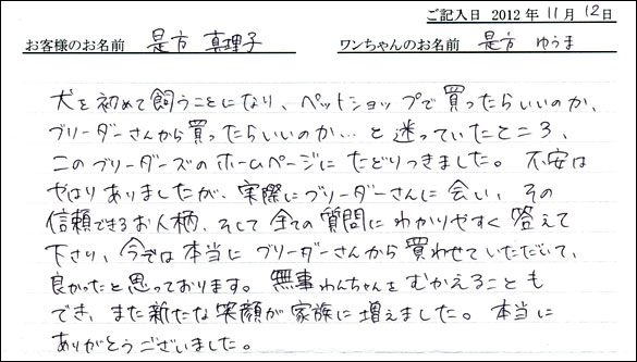 子犬お客様の声