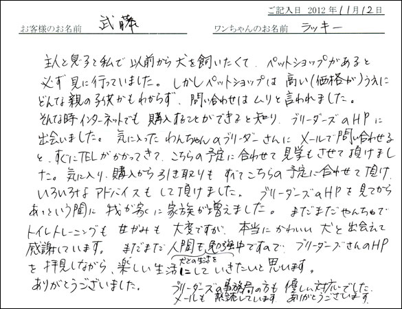 子犬お客様の声