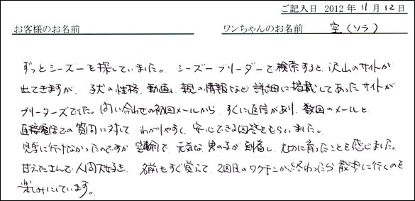 子犬お客様の声
