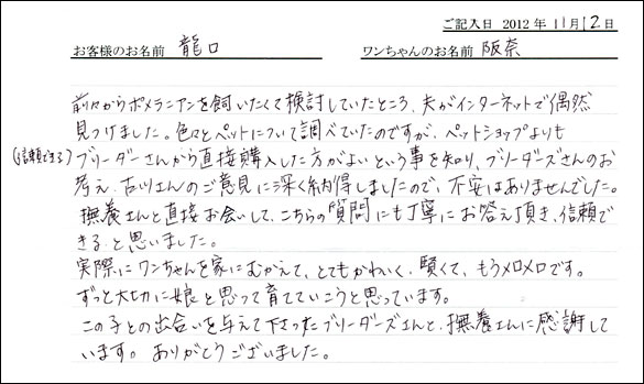 子犬お客様の声