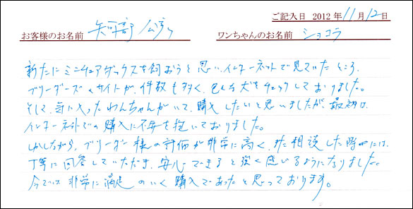 子犬お客様の声