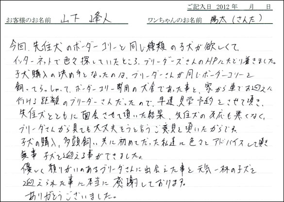子犬お客様の声