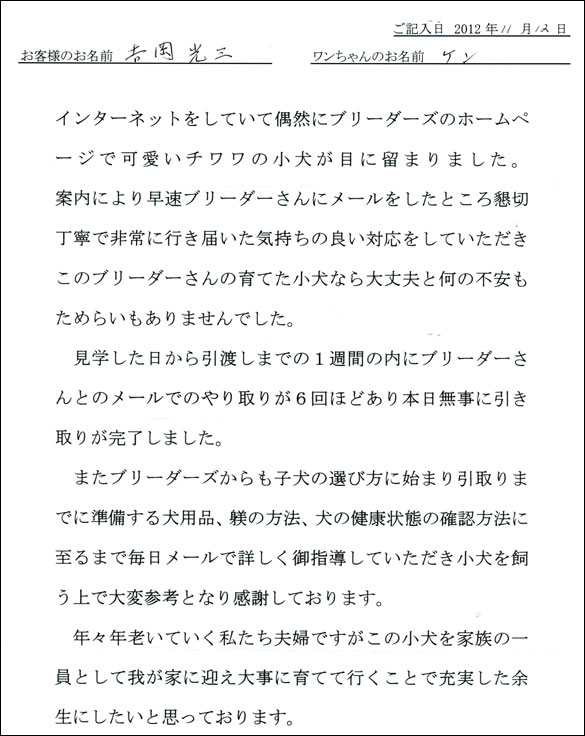 子犬お客様の声