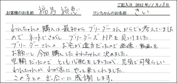 子犬お客様の声
