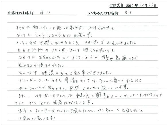 子犬お客様の声