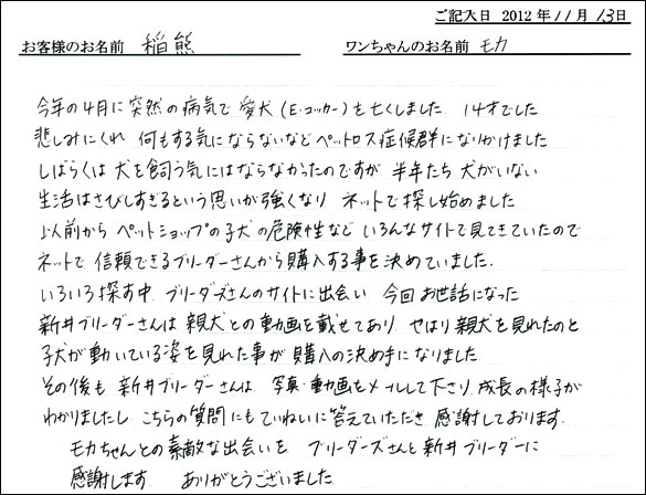 子犬お客様の声