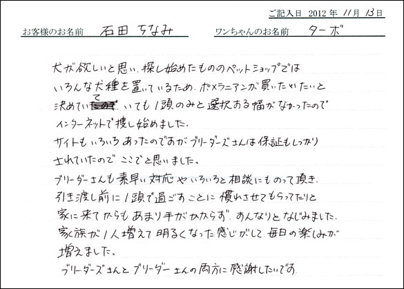 子犬お客様の声