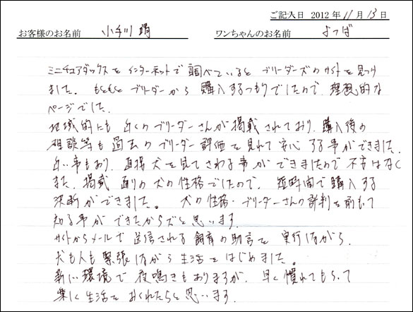 子犬お客様の声