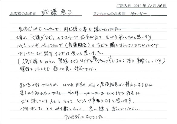 子犬お客様の声