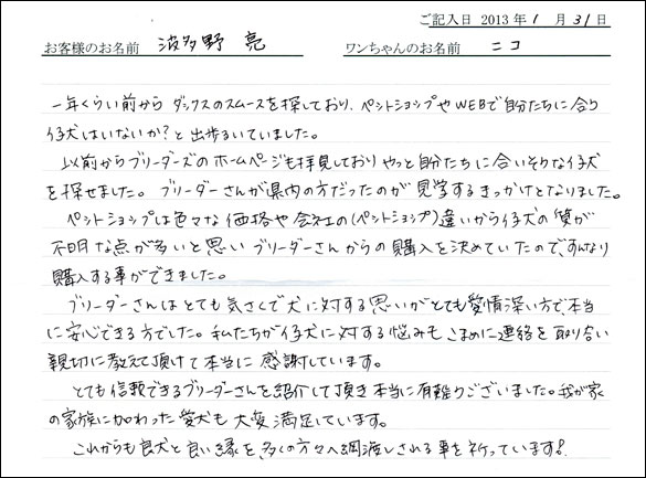 シェットランドシープドッグお客様の声
