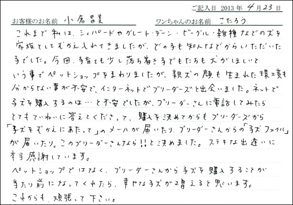 子犬お客様の声