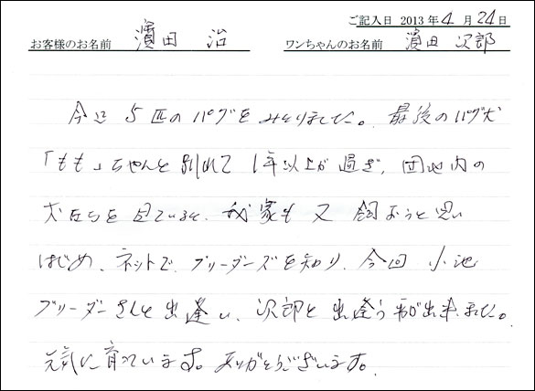 子犬お客様の声