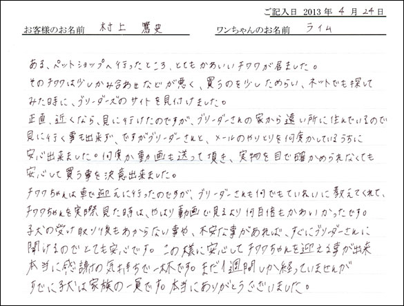 子犬お客様の声