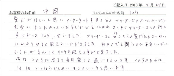子犬お客様の声