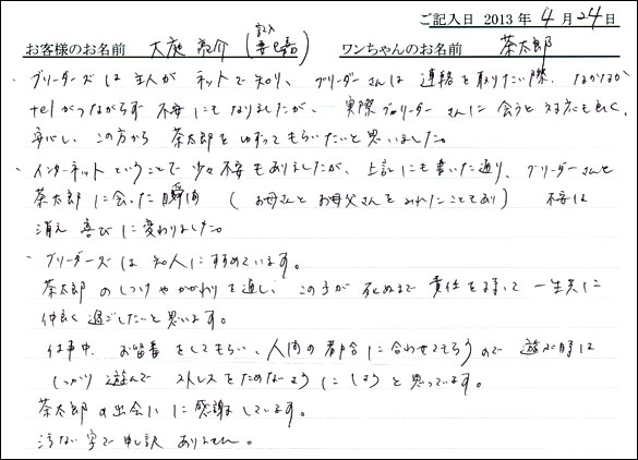 子犬お客様の声
