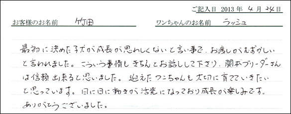 子犬お客様の声