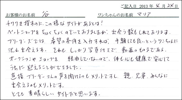 子犬お客様の声