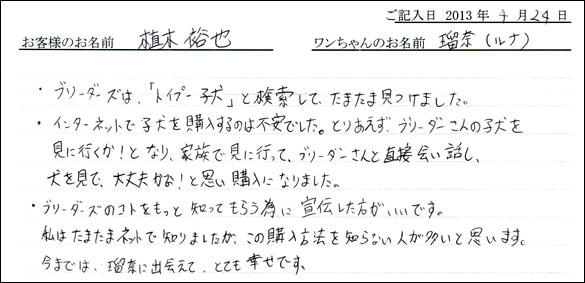 子犬お客様の声
