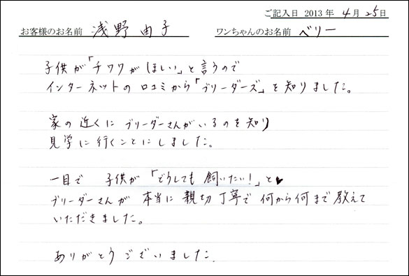 子犬お客様の声