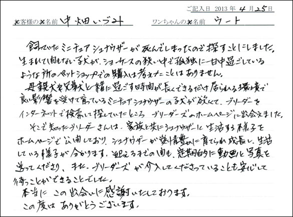 子犬お客様の声
