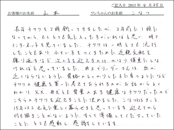 子犬お客様の声