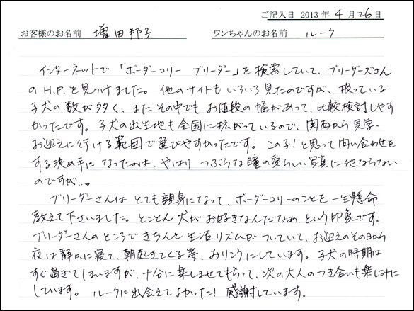 子犬お客様の声
